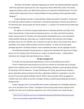 Nevyriausybinių organizacijų samprata, bruožai. Terminologijos problemos 10 puslapis