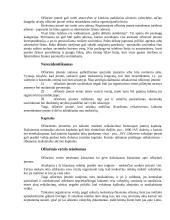 Ofšorinis verslas ir viskas apie jį 3 puslapis