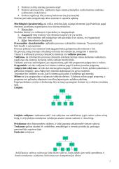 Organizacijos valdymas - teorija 2 puslapis