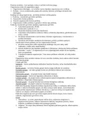 Organizacijos valdymas - teorija 4 puslapis