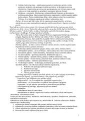 Organizacijos valdymas - teorija 5 puslapis