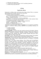 Organizacijos valdymas - teorija 6 puslapis