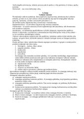 Organizacijos valdymas - teorija 8 puslapis