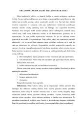 Organizacijų valdymas 2 puslapis