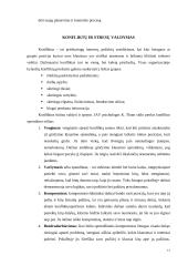 Organizacijų valdymas 11 puslapis