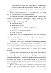 Organizacijų valdymas 12 puslapis