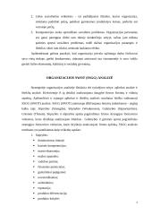 Organizacijų valdymas 4 puslapis