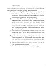 Organizacijų valdymas 6 puslapis