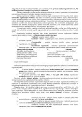 Organizacijos struktūros, valdžios, atsakomybės, delegavimo svarba 2 puslapis