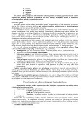 Organizacijos struktūros, valdžios, atsakomybės, delegavimo svarba 4 puslapis