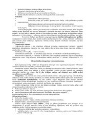 Organizacijos struktūros, valdžios, atsakomybės, delegavimo svarba 6 puslapis