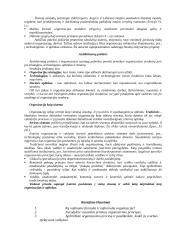 Organizacijos struktūros, valdžios, atsakomybės, delegavimo svarba 10 puslapis