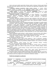 Pardavimų valdymas 4 puslapis