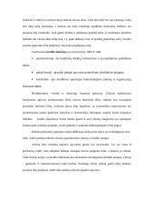 Paskolų suteikimo ir grąžinimo procesas bei principai 2 puslapis