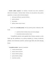 Paskolų suteikimo ir grąžinimo procesas bei principai 12 puslapis