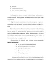 Paskolų suteikimo ir grąžinimo procesas bei principai 13 puslapis