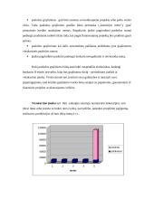 Paskolų suteikimo ir grąžinimo procesas bei principai 15 puslapis
