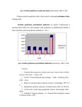 Paskolų suteikimo ir grąžinimo procesas bei principai 16 puslapis