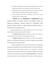 Paskolų suteikimo ir grąžinimo procesas bei principai 4 puslapis