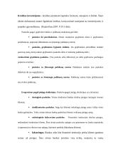 Paskolų suteikimo ir grąžinimo procesas bei principai 5 puslapis