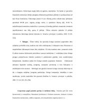 Paskolų suteikimo ir grąžinimo procesas bei principai 6 puslapis