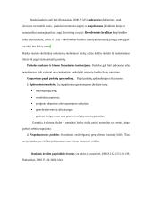 Paskolų suteikimo ir grąžinimo procesas bei principai 7 puslapis