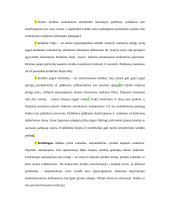 Paskolų suteikimo ir grąžinimo procesas bei principai 8 puslapis