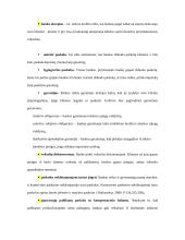 Paskolų suteikimo ir grąžinimo procesas bei principai 9 puslapis