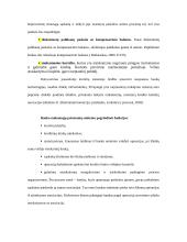 Paskolų suteikimo ir grąžinimo procesas bei principai 10 puslapis