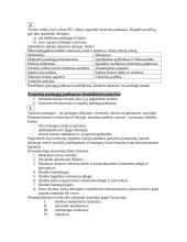 Paslaugų vartojimas ir paslaugų ekonomika 3 puslapis