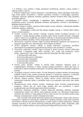 Personalo valdymas 17 puslapis