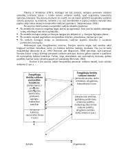 Personalo valdymas 5 puslapis