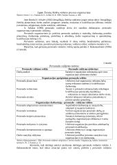Personalo valdymas 10 puslapis
