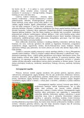 Augalijos įvairovė 4 puslapis