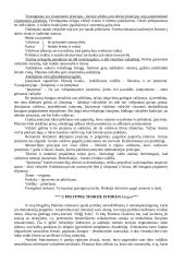 Pilietinės visuomenės elementai žmonijos istorijoje. Antika. 2 puslapis