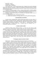 Pilietinės visuomenės elementai žmonijos istorijoje. Antika. 6 puslapis