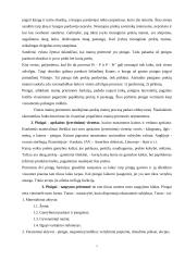 Pinigai ir šiuolaikiniai bankai 2 puslapis