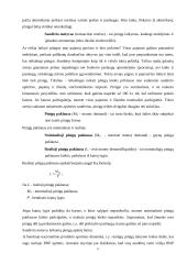 Pinigai ir šiuolaikiniai bankai 11 puslapis