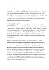 Pirmieji teisės istorijos šaltiniai 7 puslapis