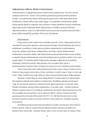 Pirmieji teisės istorijos šaltiniai 8 puslapis