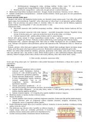 Plastinė ir rekonstrukcinė chirurgija 2 puslapis