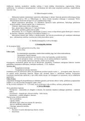 Plastinė ir rekonstrukcinė chirurgija 11 puslapis