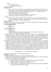 Plastinė ir rekonstrukcinė chirurgija 12 puslapis