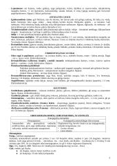 Plastinė ir rekonstrukcinė chirurgija 5 puslapis