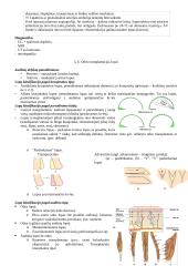 Plastinė ir rekonstrukcinė chirurgija 7 puslapis