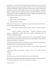 Poilsio laikas 3 puslapis