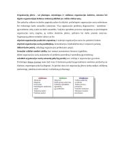 Pokyčių valdymas 2 puslapis