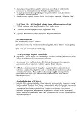 Politikos mokslas 11 puslapis