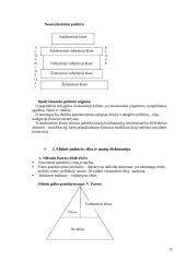 Politikos mokslas 12 puslapis