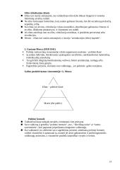 Politikos mokslas 13 puslapis
